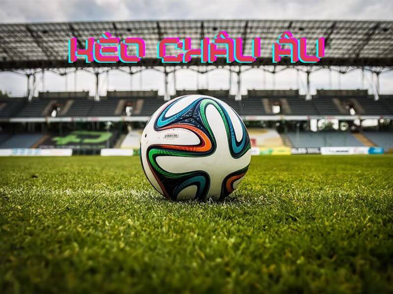Hướng Dẫn Chi Tiết Dành Cho Người Mới