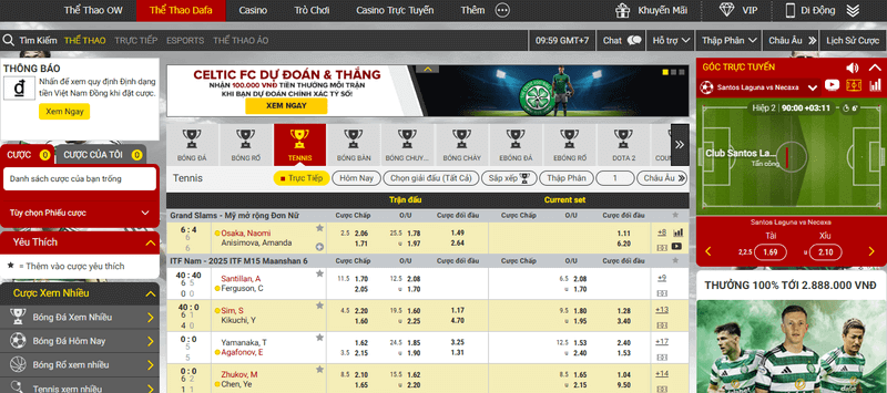 cách cược quần vợt dafabet